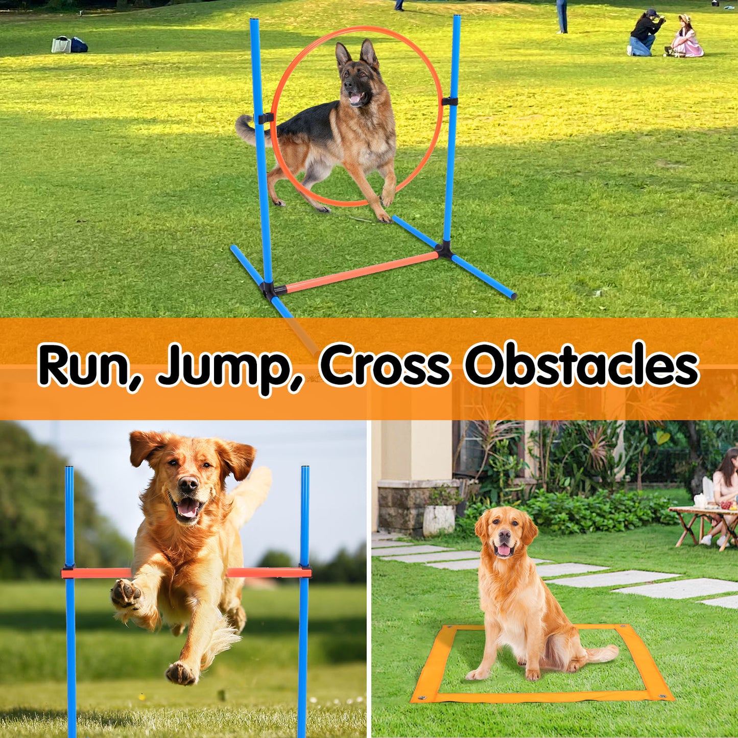 Dog Agility Course Backyard Set, Dog Agility Equipment, Dog Obstacle Course Backyard, Agility Training Equipment for Dogs, Dog Agility Jumps