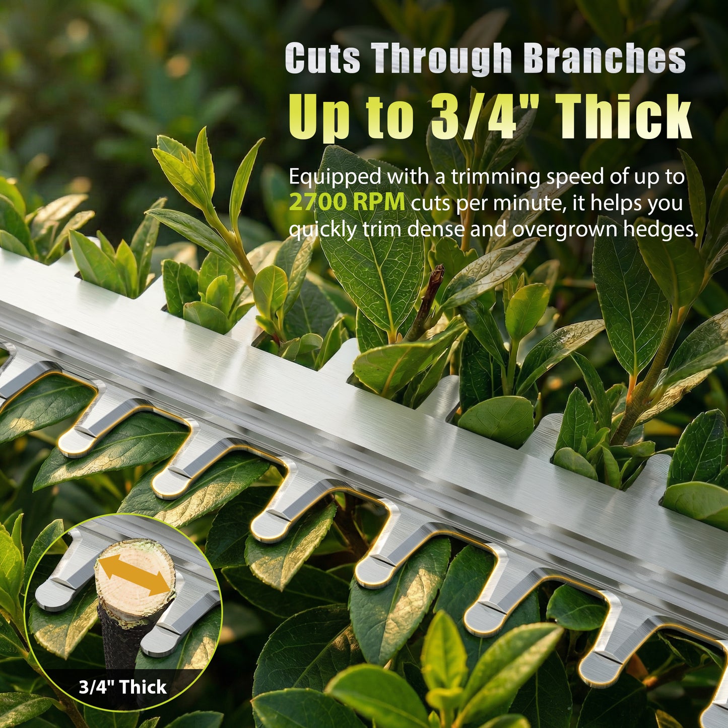 Vipuse Pole Hedge Trimmer Cordless, Electric Bush Trimmer Tool with 21" Dual-Action Blade, Detachable Telescoping Pole, 4.0Ah Battery, Powerful Branches Cutter for Tree & Shrubs Pruning